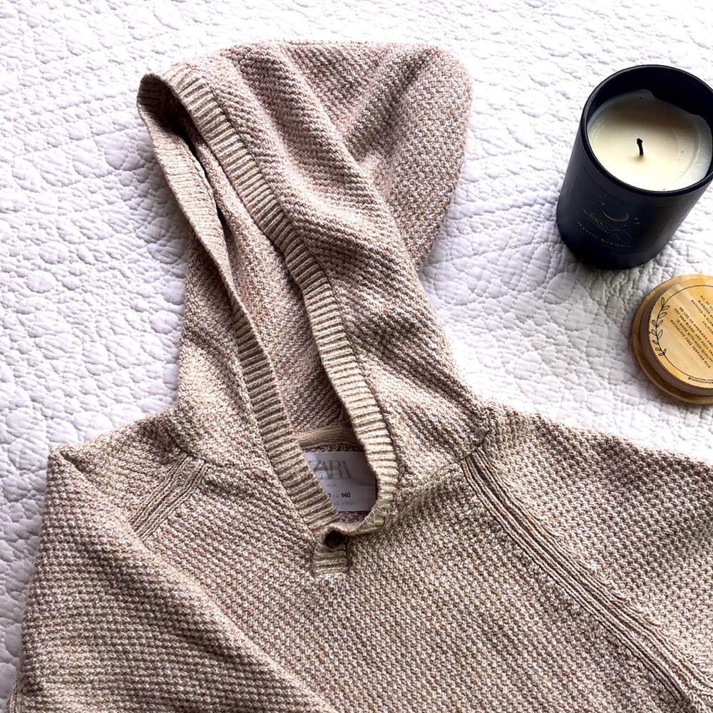 Zara Hooded sweater